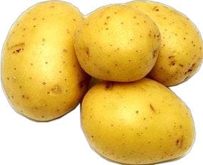بطاطا